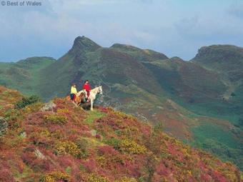 Holiday Home Opgewonder