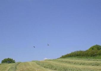 Apartamento The Cottage