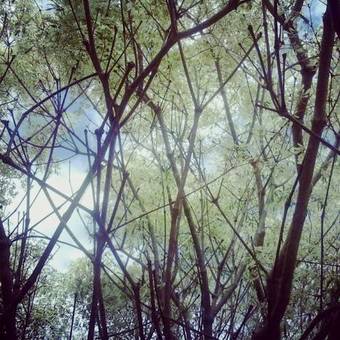 Hostal Pousada Casa Rosa