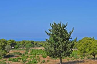 Lodge Pine Tree Cottage / Korakonisi Inlet