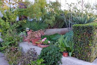 Apartments By The Sea Kali, Ugljan - 5828