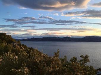 Apartments Dora Mljet