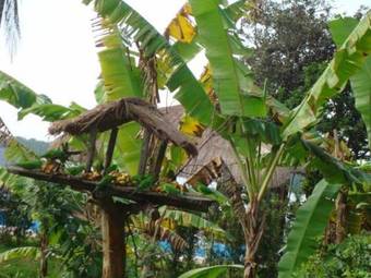 Hostal Pousada Recanto Das Aves