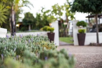 Hotel Kleinplasie Guesthouse