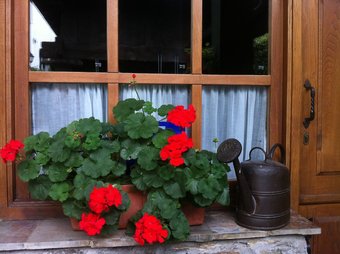 Agroturismo Casa Mario