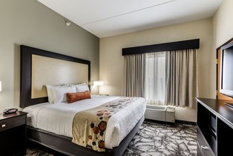 Hotel Holiday Inn Express & Suites Cedar Falls - Waterloo