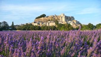 Hotel La Ferme Chapouton