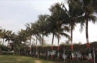 Hotel Buddha International