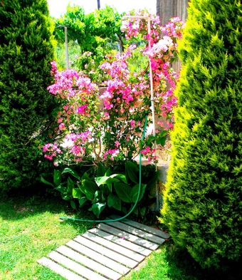 Koulouris Apartments