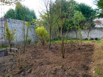 Nispero Country House