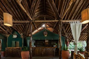 Kibo Safari Camp
