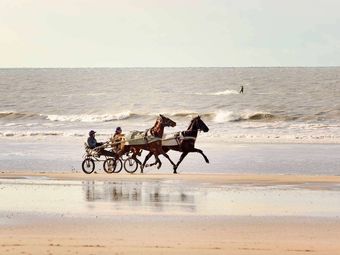 Hotel Ibis Budget Deauville