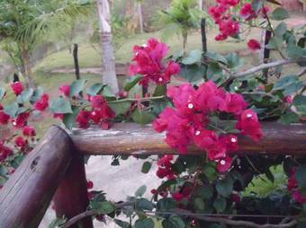 Casa Estrelada Bed And Breakfast