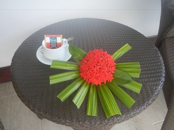 Hotel Club Oceanus Resort