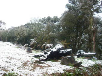 Posada Pousada Cantos E Encantos