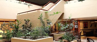 Piggs Peak Hotel And Casino