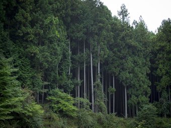 Hotel Kominka Yado Loof Sakanoie