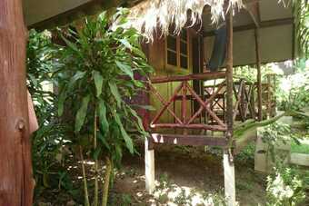 Hotel The Grand Tree Resort