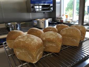 Posada The Frocester George