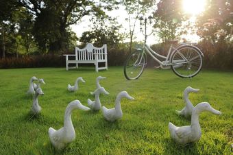 Hotel Eden Garden Resort