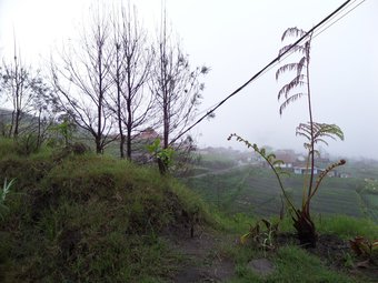 Hotel Pondok Wisata Adas