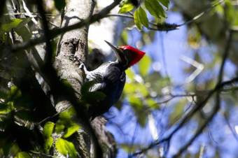Lodge Chacra Del Agua