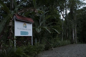 Ver fotos