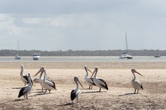 Rainbow Beach Holiday Park