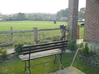 Bed & Breakfast Forest View