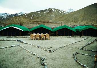Pangong Delight Camp
