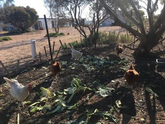 Apartamentos Perlubie Sea