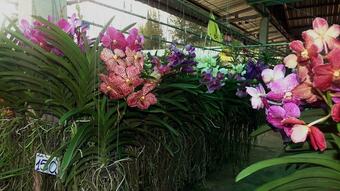 Hotel Pancake House B&B