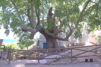 Hotel Uzum Iskelesi Butik Otel