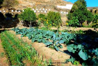 Hotel La Maison Vert Amande