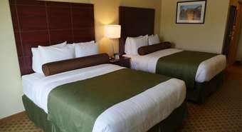 Cobblestone Hotel & Suites - Greenville
