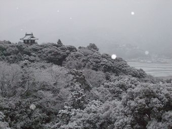 Nagomiyado Anjuann