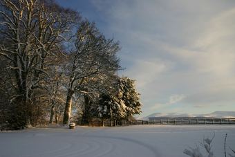 Bed & Breakfast Cormiston Farm