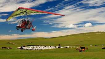 Xilingol Auspicious Horses