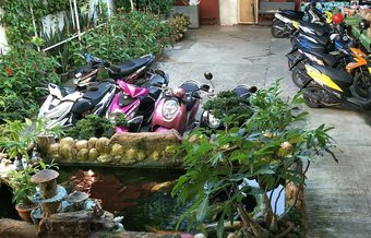 Hotel First Baby Bytes Guest House