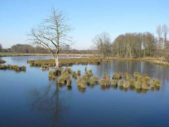 Apartamentos Nettetal - Free2beme