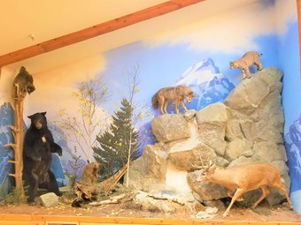 Hotel Best Western Dundee