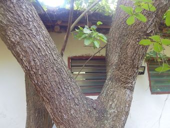 Hotel Kilifi Maghreb