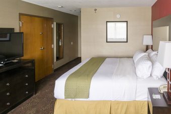 Holiday Inn Hotel And Conference Center Big Rapids