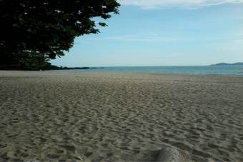 Hotel Lucky Bungalow