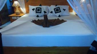 Hotel 360 Rainforest