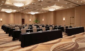 Hotel Hilton Durham Near Duke University