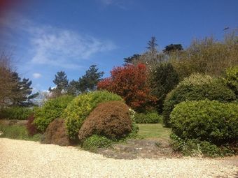 Bed & Breakfast Monterey House