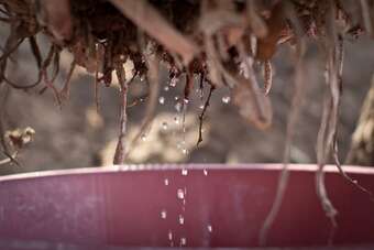 Posada Baleni Cultural Camp