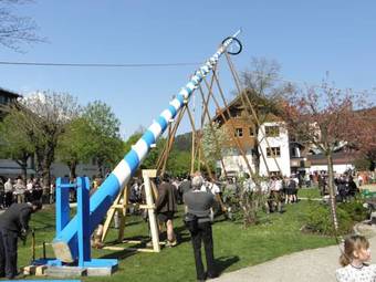 Ver fotos
