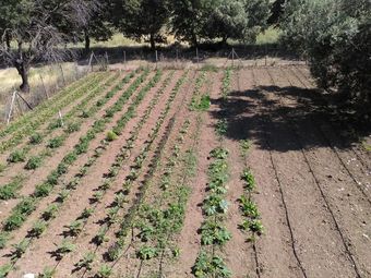 Hotel Geyikli Herrara